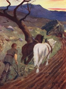 De Zoon van de Sterke Man van het Bos door Allan Stewart