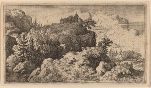 Sparren in de Kloof