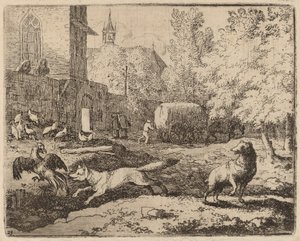 Reinaert Probeert een Haan te Stelen