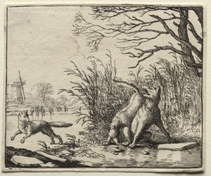 Reinaert de Vos: Een Nieuwe Beschuldiging door de Wolf door Allart van Everdingen