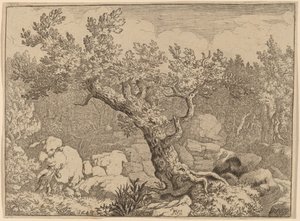 Sportman bij een grote boom, waarschijnlijk ca. 1645-1656 door Allart van Everdingen