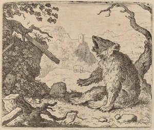 De beer als boodschapper gestuurd, waarschijnlijk ca. 1645-1656 door Allart van Everdingen