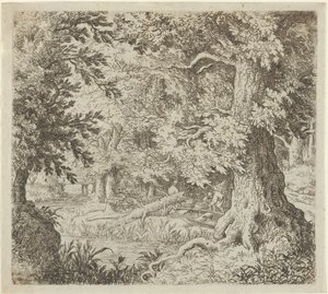 De beek in het bos, 17e eeuw door Allart van Everdingen