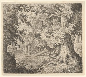 De beek in het bos door Allart van Everdingen