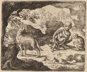 De Wolf en de Apen