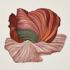 Kleurrijke biologische bloei