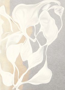 Vloeiende organische vormen door Alma