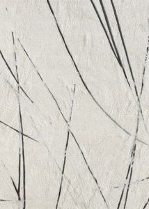 Organische lijnen en textuur door Alma