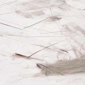 Subtiele, vloeiende lijnen door Alma