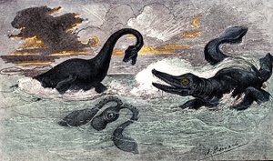 Lias Periode (Onder Jura): Plesiosaurus en Ichthyosaurus, natuurlijke creatie en levende wezens (door Jules Rengade) Tekening door A. Demarle. 1885 door Alphonse Demarle