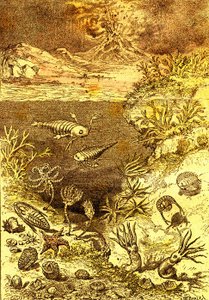 Prehistorie-Einde van de Silurische periode: Natuurlijke Schepping en Levende Wezens (J. Rengade) Tekening A. Demarle. 1885