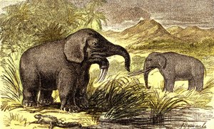 Prehistorie-Mioceen Periode: Van rechts naar links: de Dinotherium en de Mastodont. Natuurlijke Creatie en levende wezens. Tekening door A. Demarle. 1885