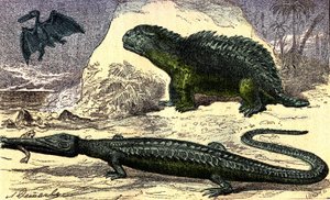 Prehistorie - Jura Periode: De Teleosaurus en de Hyleosaurus. De Pterodactylus boven. Natuurlijke Creatie en Levende Wezens. Tekening door A. Demarle. 1885