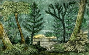 Prehistorie, periode van steenkool: Moeras en boor van de steenkoolperiode (J. Rrengade)