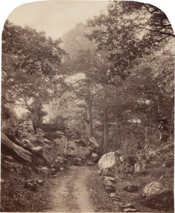 Fontainebleau