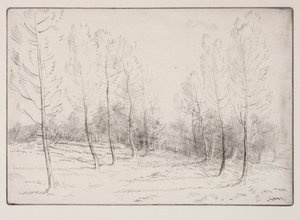 Laan van Populieren door Alphonse Legros