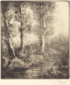 Oevers van de Saint-Pre