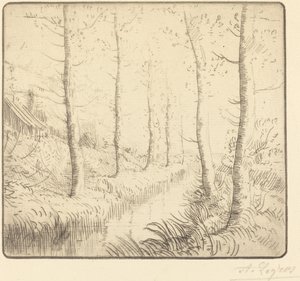 Berkenbomen langs het water door Alphonse Legros