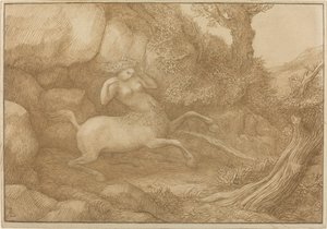 Centaur Vrouw