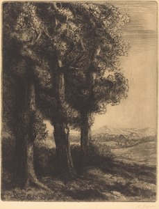Hoek van een Bos door Alphonse Legros