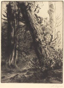 Rand van een Beek door Alphonse Legros