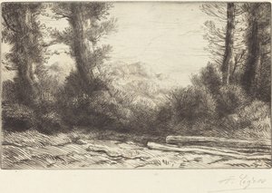 Bosrand (Lisiere de bois)