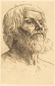 Hoofd van een man (Tete d