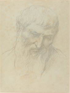 Hoofd van een man met krullend haar en baard door Alphonse Legros