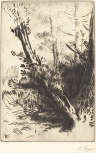 In het bos door Alphonse Legros