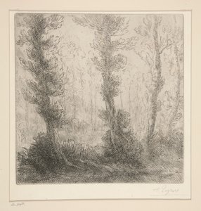 Het Kleine Meer door Alphonse Legros