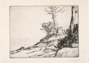 De struikheuvel door Alphonse Legros