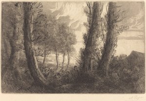 Landschap