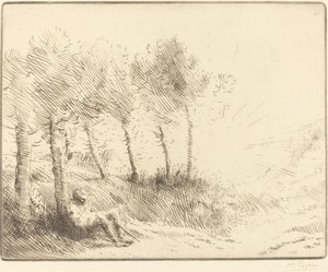 Landschap