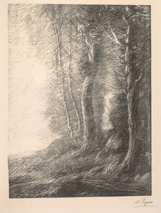 Landschap (Paysage)