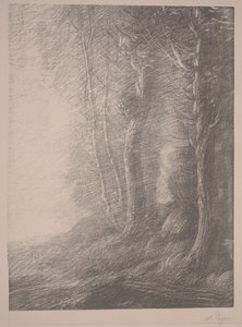 Landschap