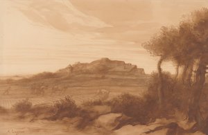 Landschap