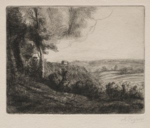 Landschap