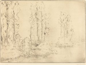 Landschap Paysage