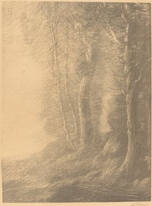 Landschap Paysage