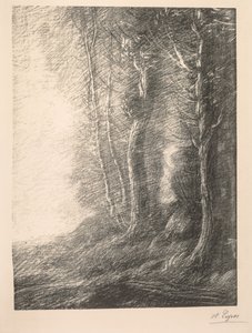 Landschap