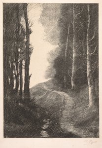 Landschap bij Bouleaux