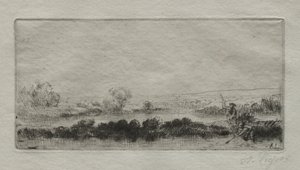 Landschap met veenmoeras: In het moeras