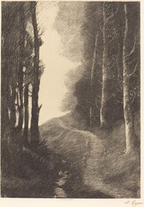 Landschap met Berkenbomen