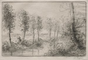 Bij de molen