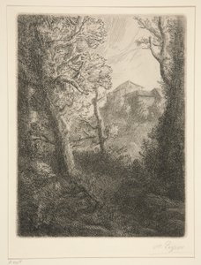 Landschap
