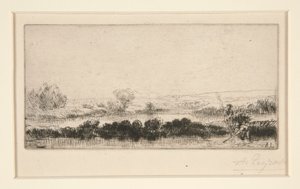 Landschap van Tourbieres: In de moerassen
