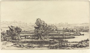 Veenmoerassen Les Tourbières door Alphonse Legros