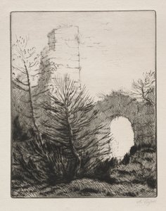 Ruïnes van een Klooster