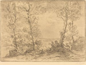 Zalmvisser (Le pecheur du saumon) door Alphonse Legros