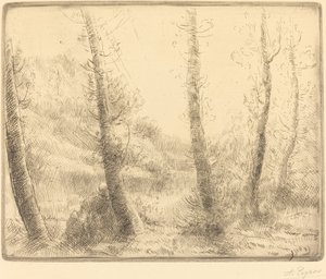 Klein meer door Alphonse Legros